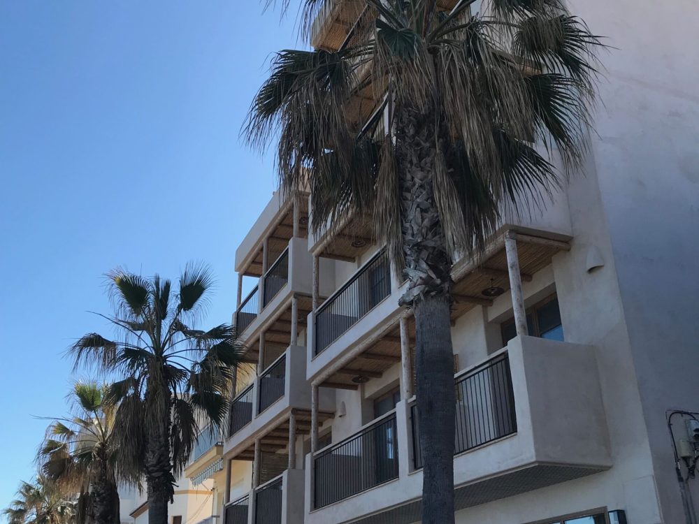 01 JAVEA